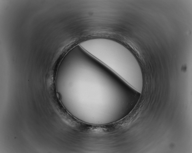 X0000100840407200806200743