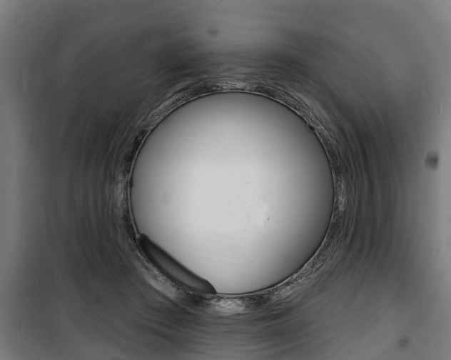 X0000100840409200806200743