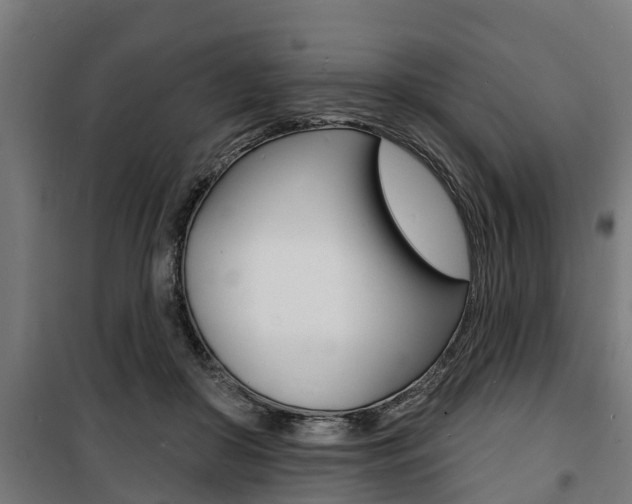 X0000100840410200806200743