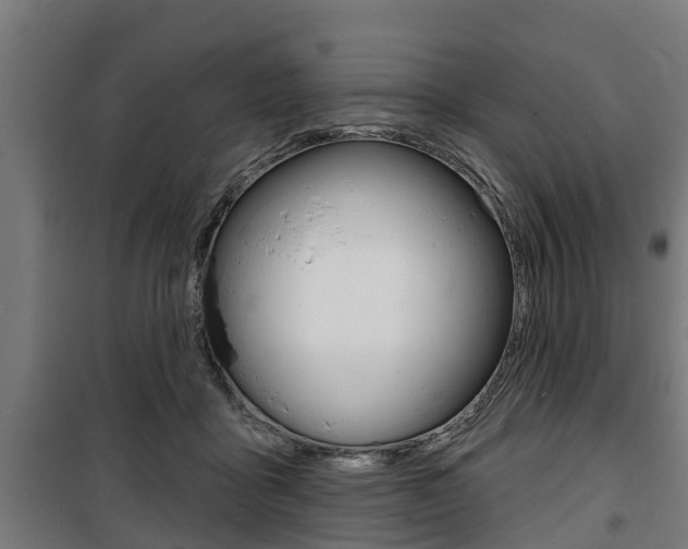 X0000100840411200806200743