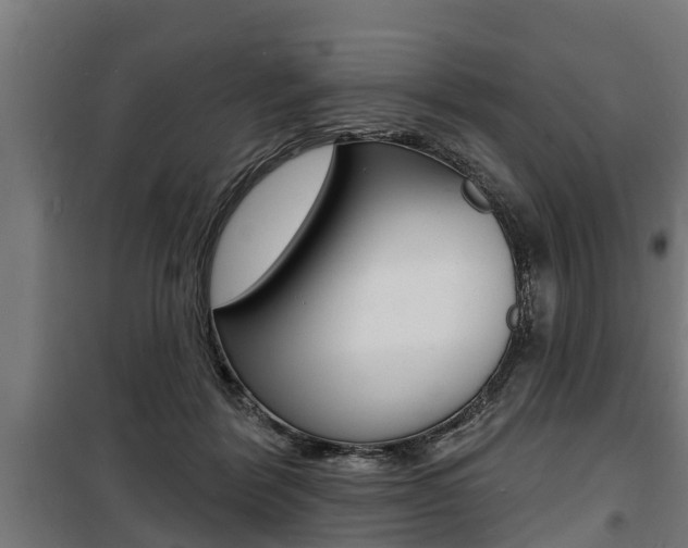 X0000100840412200806200743