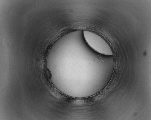 X0000100840413200806200743