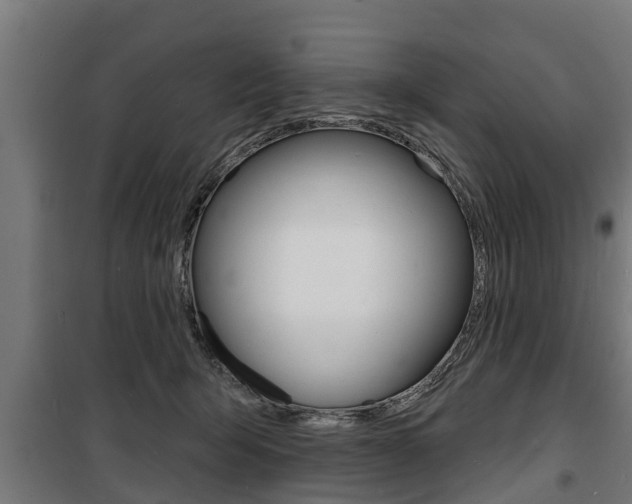 X0000100840415200806200743