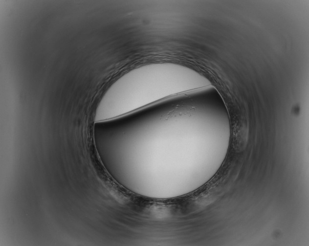 X0000100840416200806200743