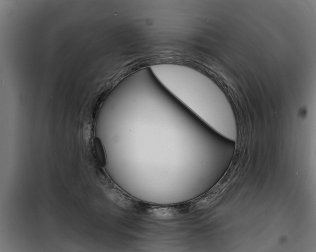 X0000100840417200806200743