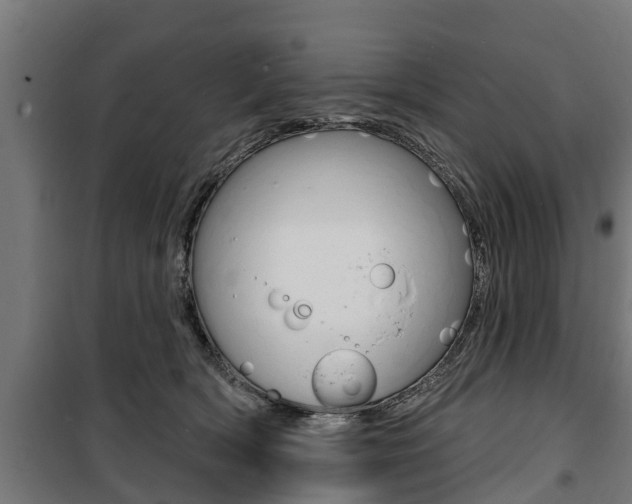 X0000100840418200806200743