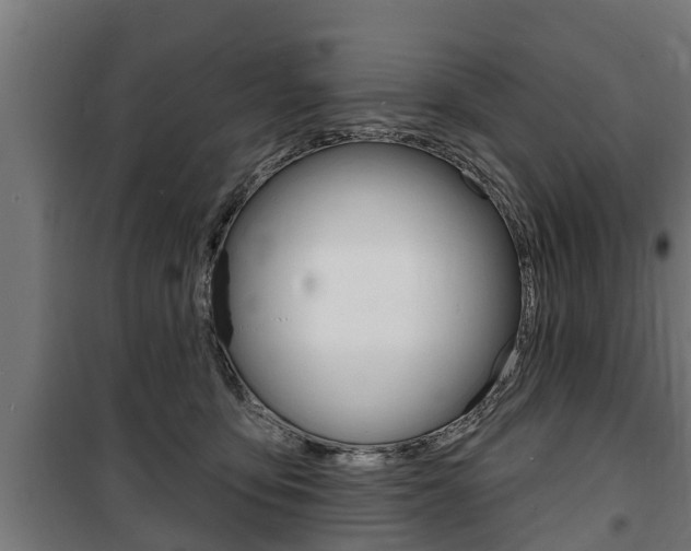 X0000100840419200806200743