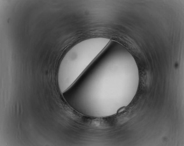 X0000100840420200806200743