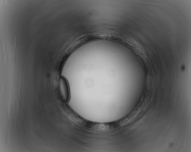 X0000100840421200806200743