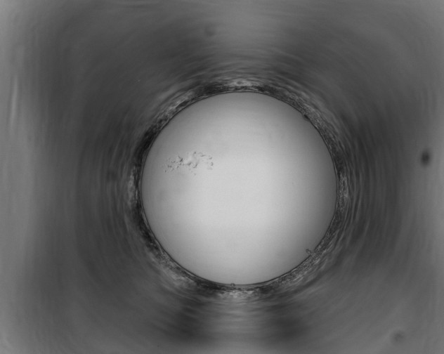 X0000100840422200806200742