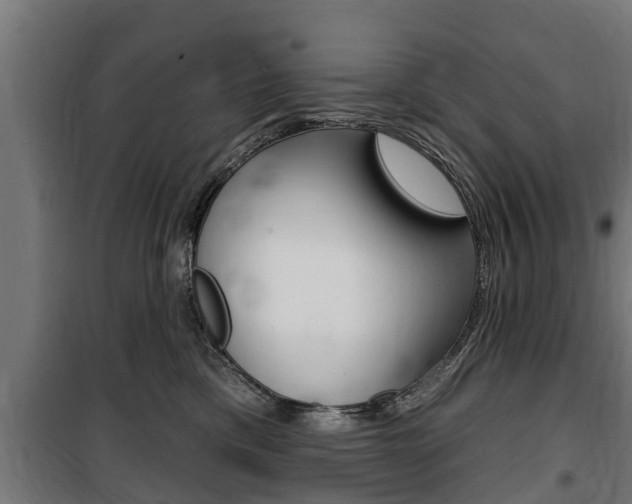 X0000100840425200806200742