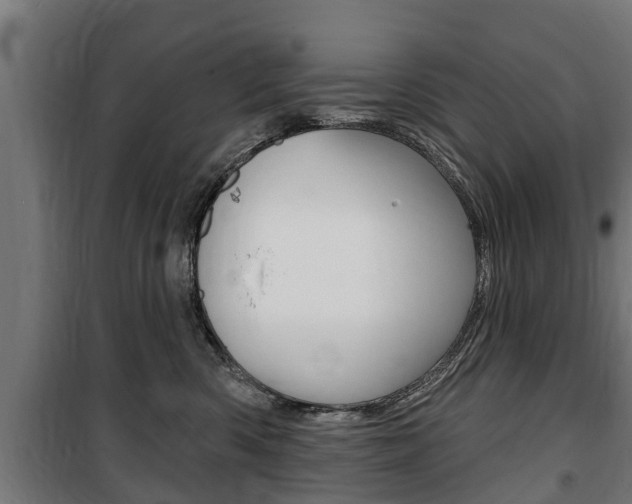 X0000100840426200806200742