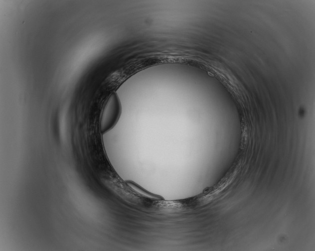 X0000100840429200806200742