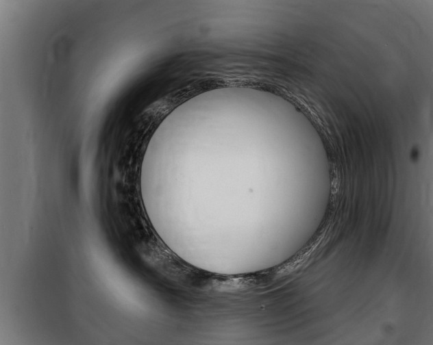 X0000100840430200806200742