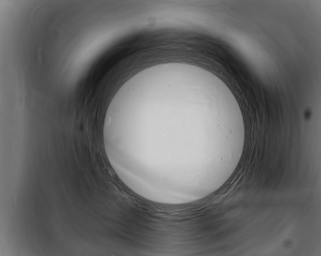 X0000100840431200806200742