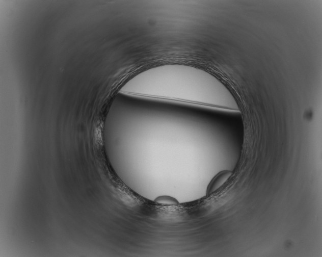 X0000100840432200806200742