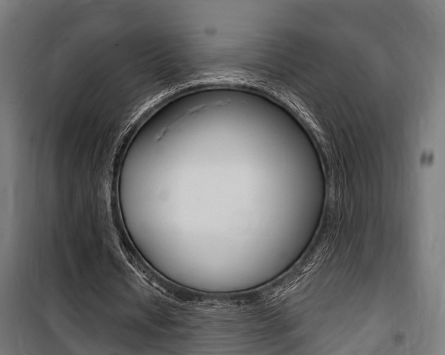 X0000100840434200806200742