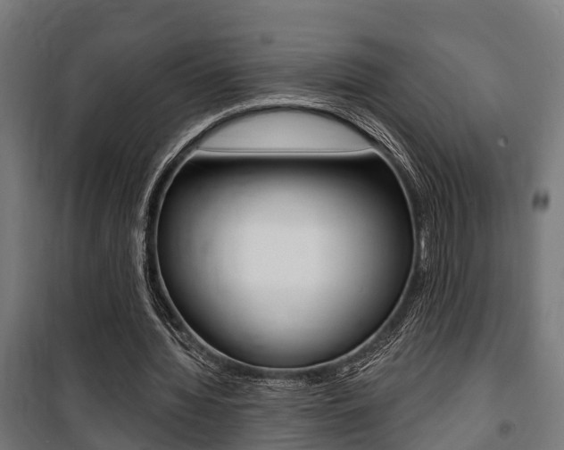 X0000100840436200806200742