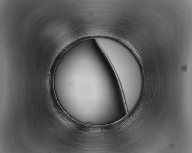 X0000100840439200806200742