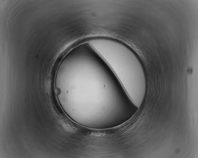 X0000100840440200806200742