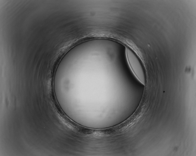 X0000100840441200806200742