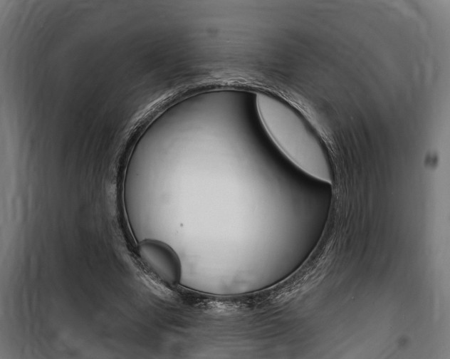 X0000100840442200806200742