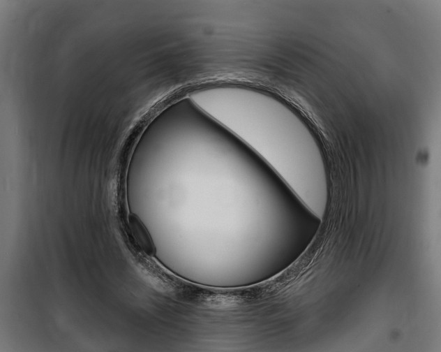 X0000100840444200806200742