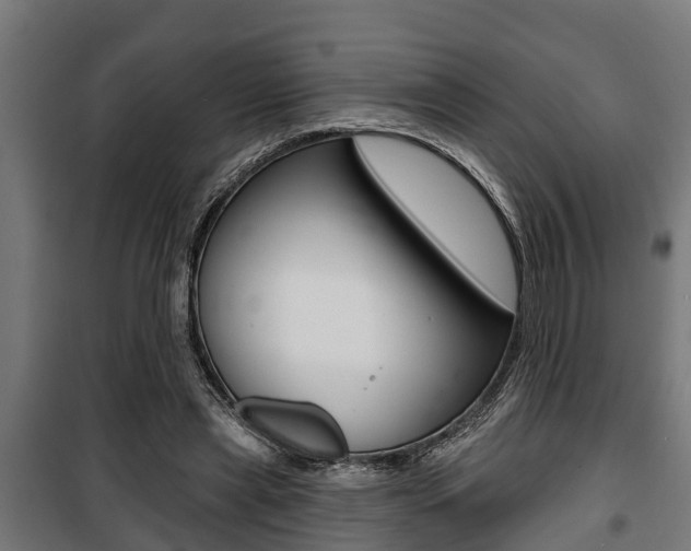 X0000100840445200806200742