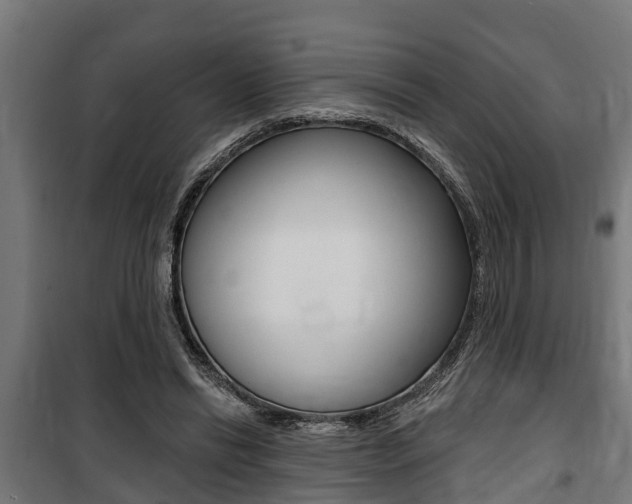 X0000100840446200806200742