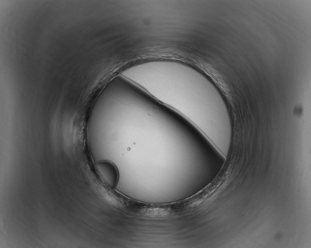 X0000100840449200806200742