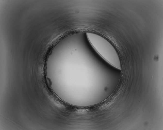 X0000100840450200806200742