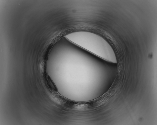 X0000100840452200806200742