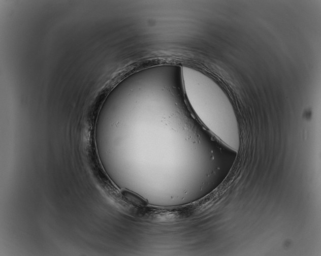 X0000100840456200806200742