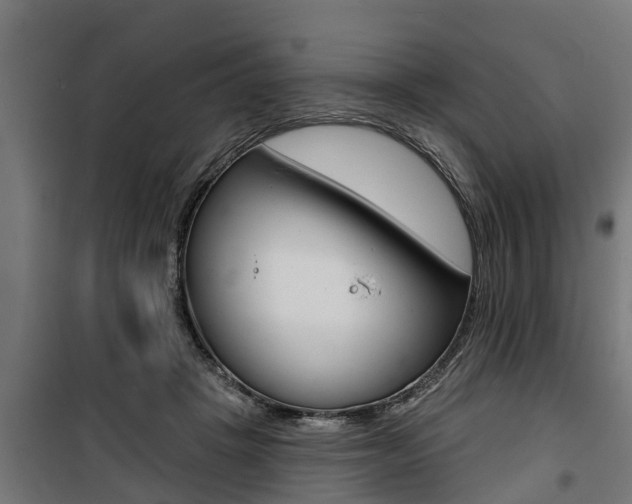 X0000100840457200806200742