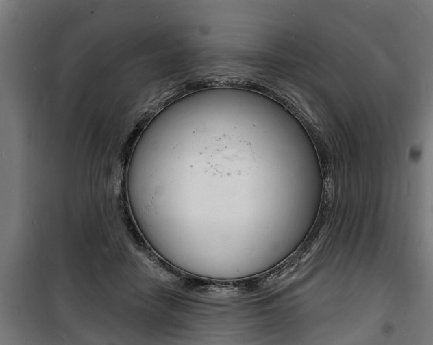 X0000100840458200806200742