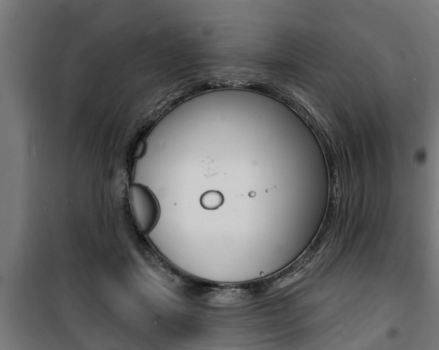 X0000100840459200806200742