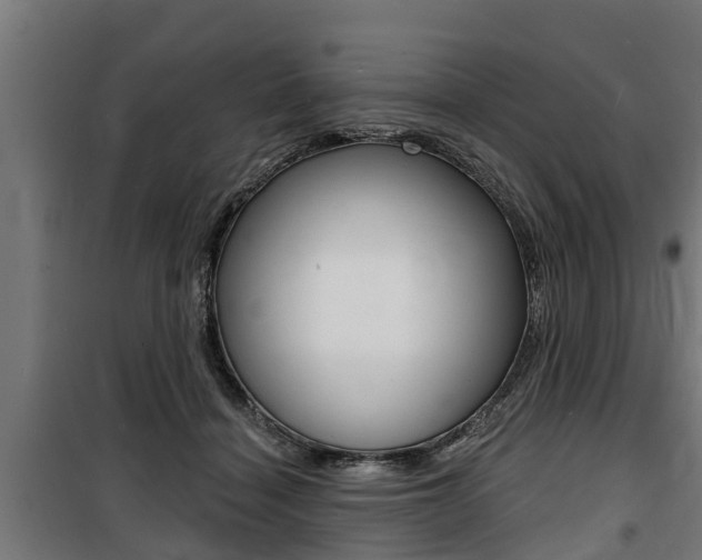 X0000100840460200806200742