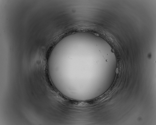 X0000100840463200806200742