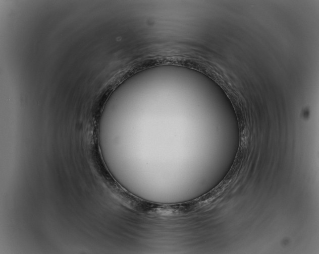 X0000100840464200806200742