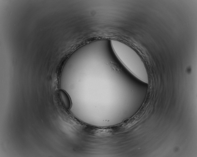 X0000100840465200806200742