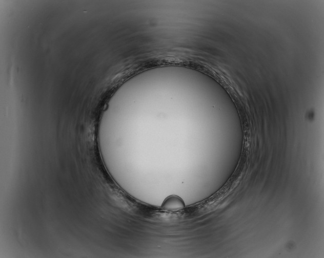 X0000100840466200806200742