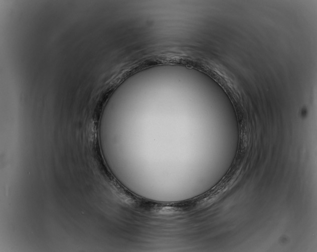 X0000100840467200806200742