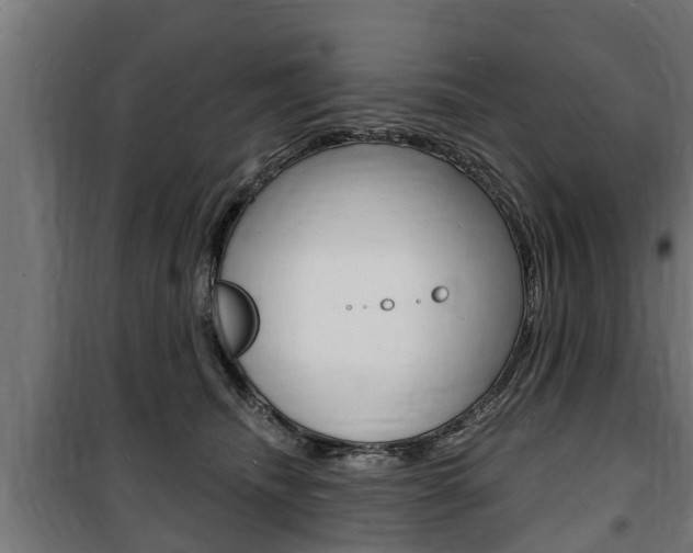 X0000100840468200806200742