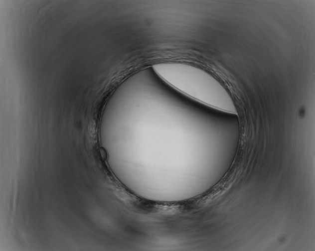 X0000100840469200806200742