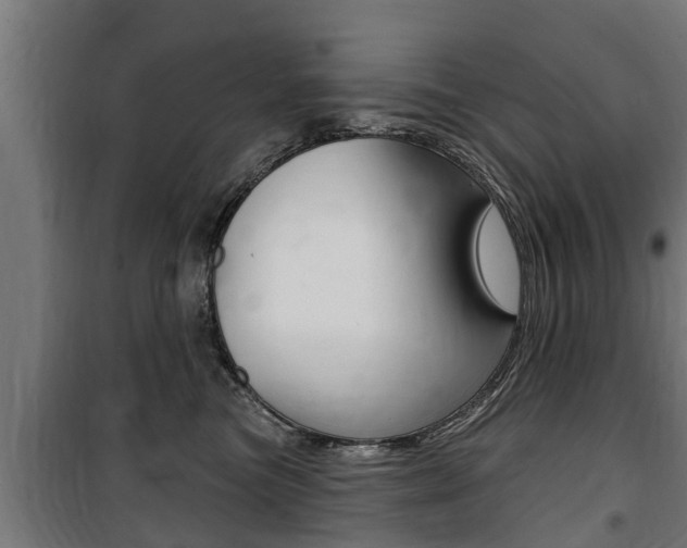 X0000100840473200806200742