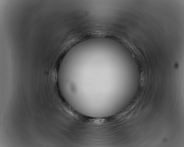 X0000100840474200806200742