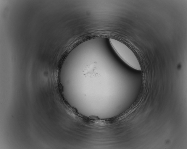 X0000100840475200806200742