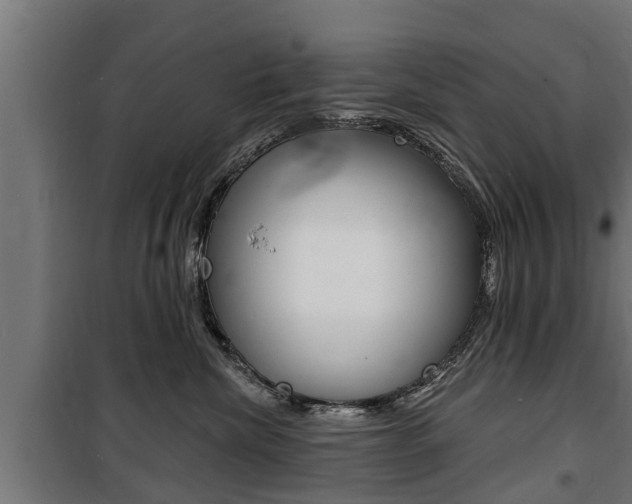 X0000100840476200806200742