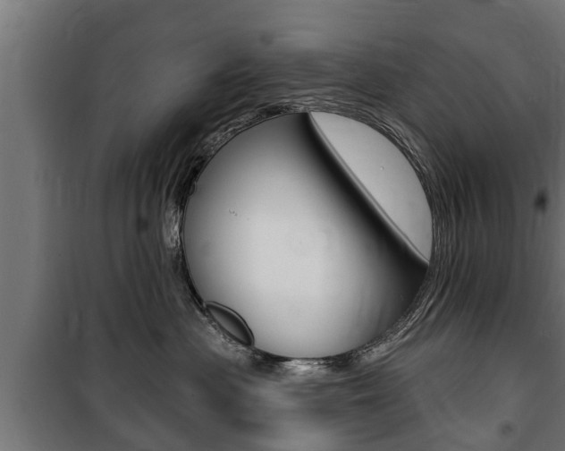 X0000100840477200806200742