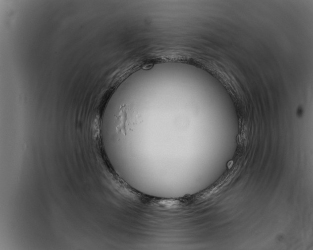 X0000100840478200806200742